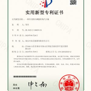 202321308591X一種具有限位調(diào)整機(jī)構(gòu)汽車(chē)衡